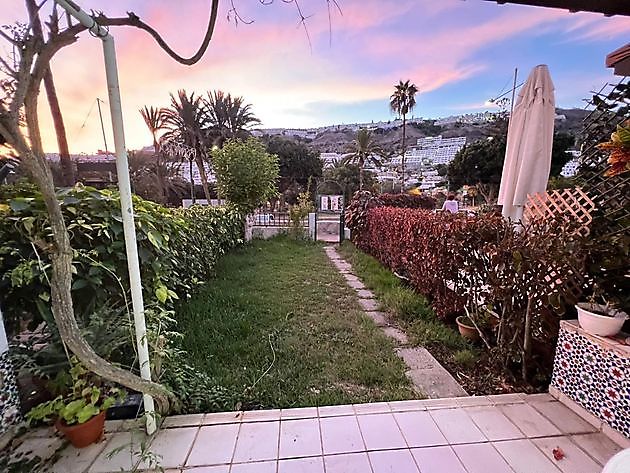 Duplex JAMAICA WINTER SEASON 2023-2024 Puerto Rico 
