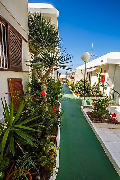 Apartamento MONTAÑA CLARA Puerto Rico 