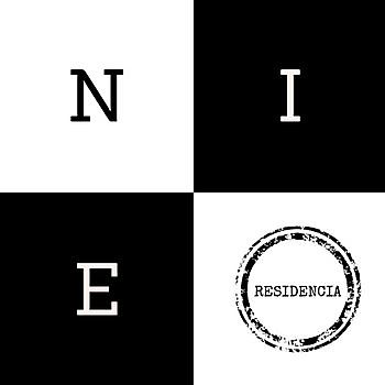 NIE, Identity numbers 